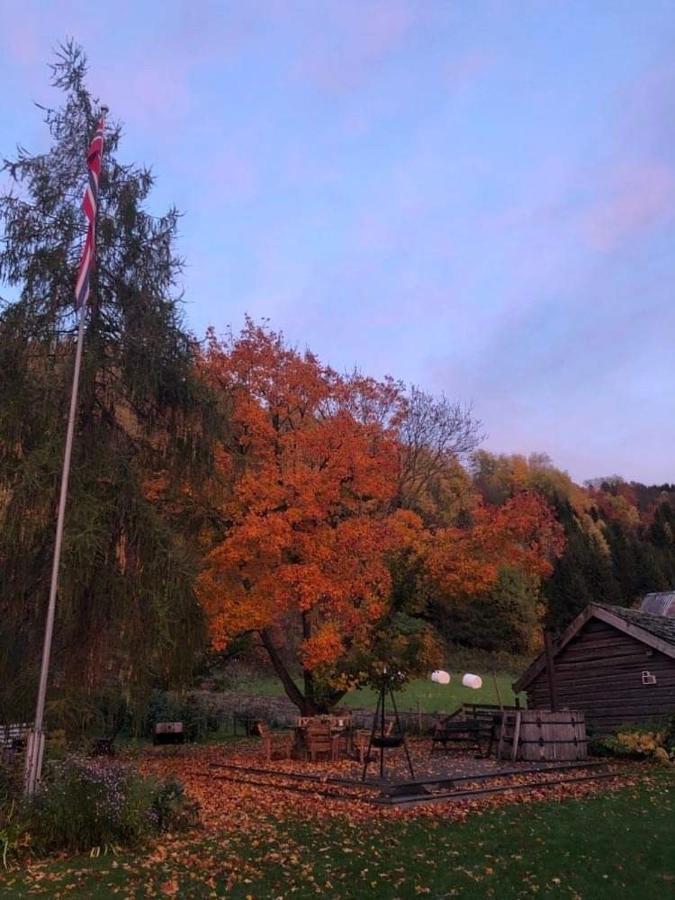 Skjeggestad Gjestehus Ringebu Dış mekan fotoğraf
